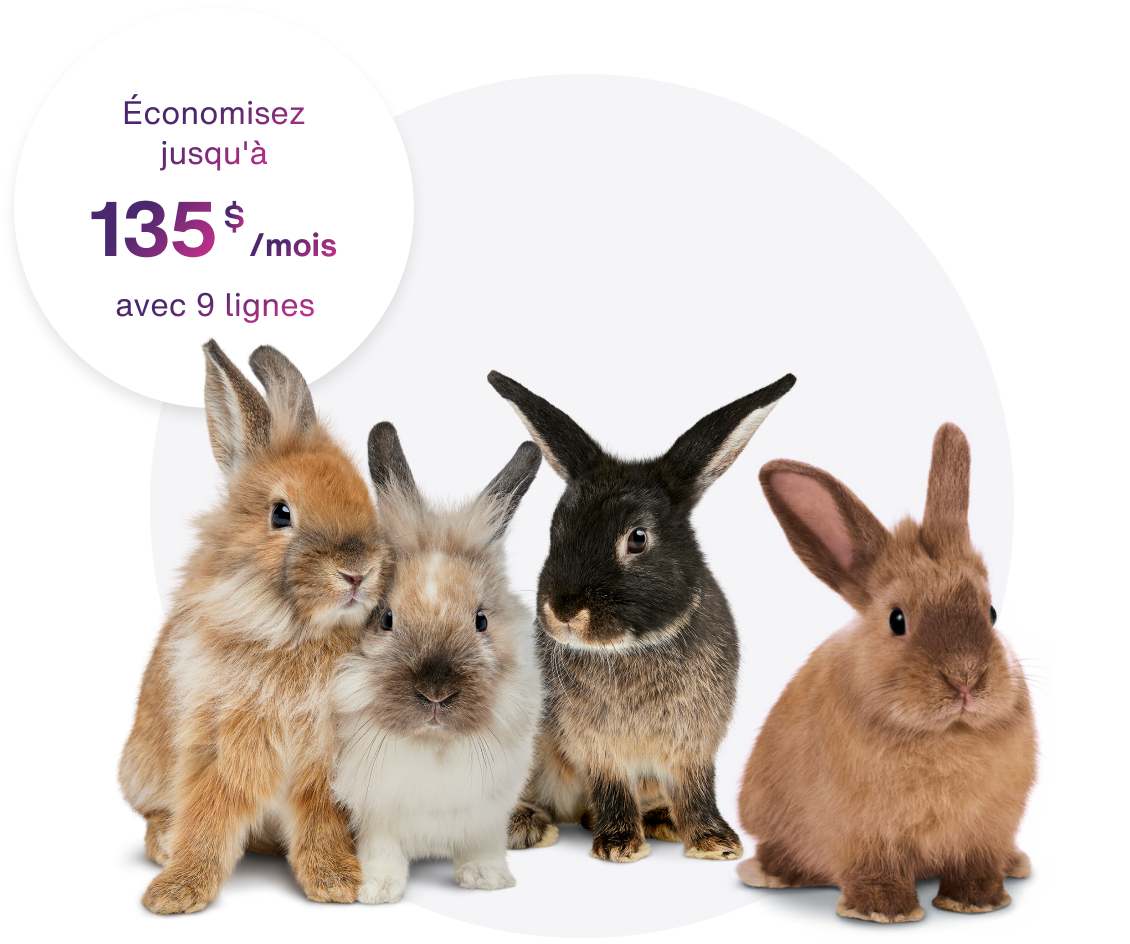 Quatre lapins sont assis en rang. Au-dessus d’eux, un cercle contient le texte « Économisez jusqu'à 135 $ par mois avec neuf lignes ».