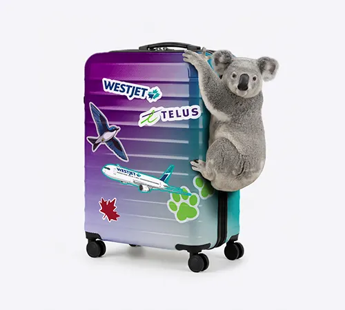 Gel de prix du forfait pour 5 ans