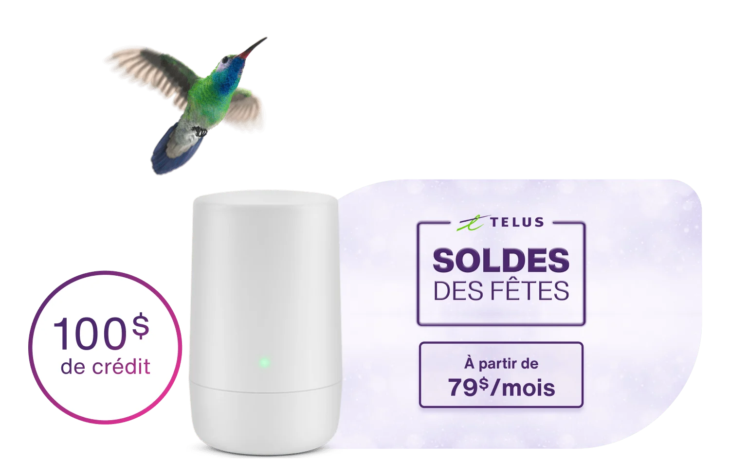 Un colibri volant en direction d'un modem TELUS. À gauche, un rond indique : Crédit de 100 $. À droite, un timbre indique : Soldes des fêtes. À partir de 79 $/mois.