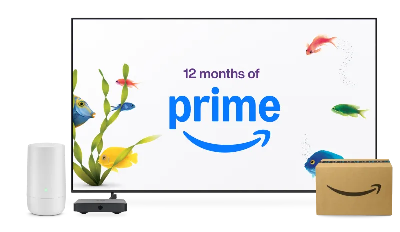 TV displaying "12 months of prime" surrounded by fish, next to Wi-Fi hardware and an Amazon delivery box.