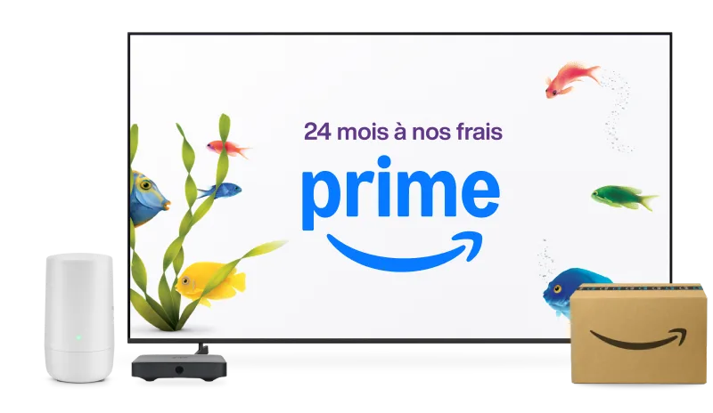 Une télé avec le texte « 24 mois d'abonnement Prime » entouré de poissons, d'un routeur Wi-Fi et d'un colis Amazon.