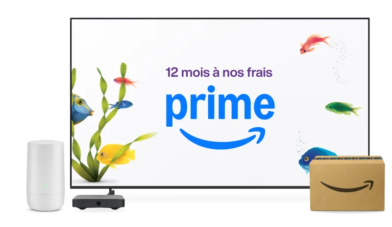 Une télé avec le texte « 12 mois d'abonnement Prime » entouré de poissons, d'un routeur Wi-Fi et d'un colis Amazon.