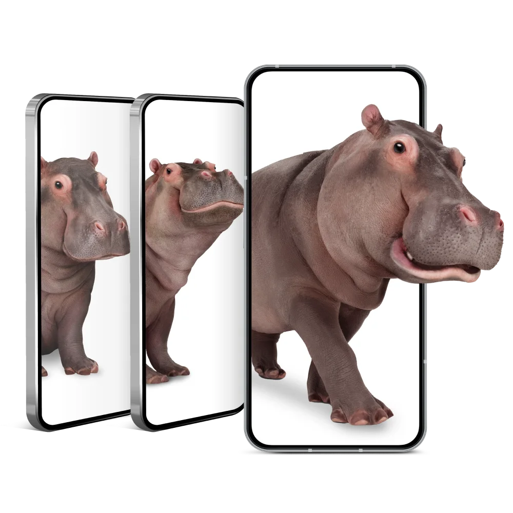 Three smartphones containing three hippos.