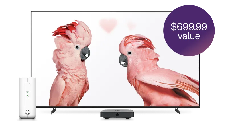 A TV and TELUS modem. The TV screen displays two cockatoos. A roundel on the right reads “$699.99 value”.