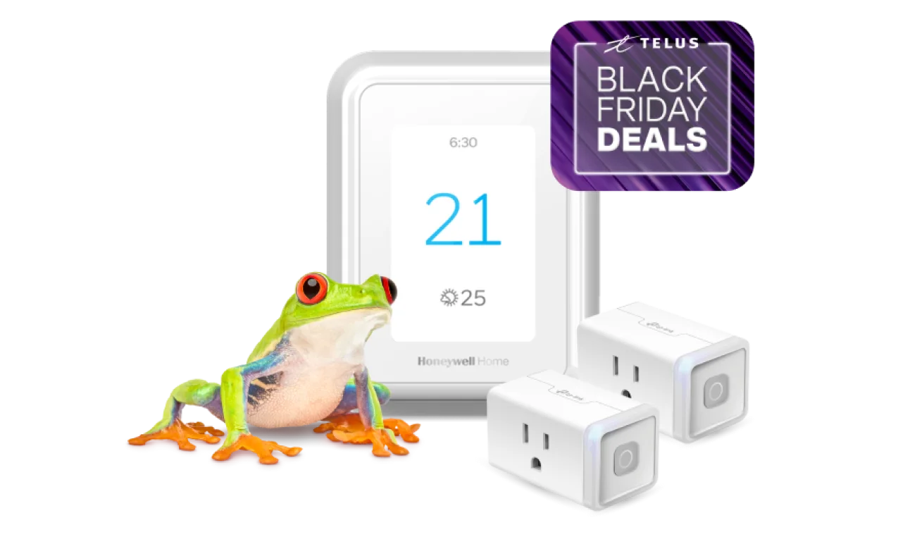 A frog is standing next to a smart thermostat and two smart plugs, displaying a roundel that says, &quot;Black Friday Deals.&quot;