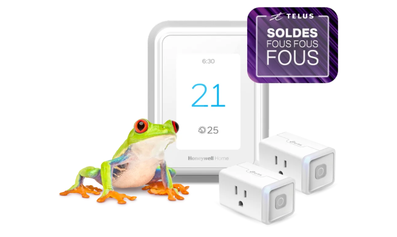 Une grenouille se tient à côté d’un thermostat intelligent et de deux prises de courant intelligentes qui portent l’inscription « Soldes du Vendredi fou ».