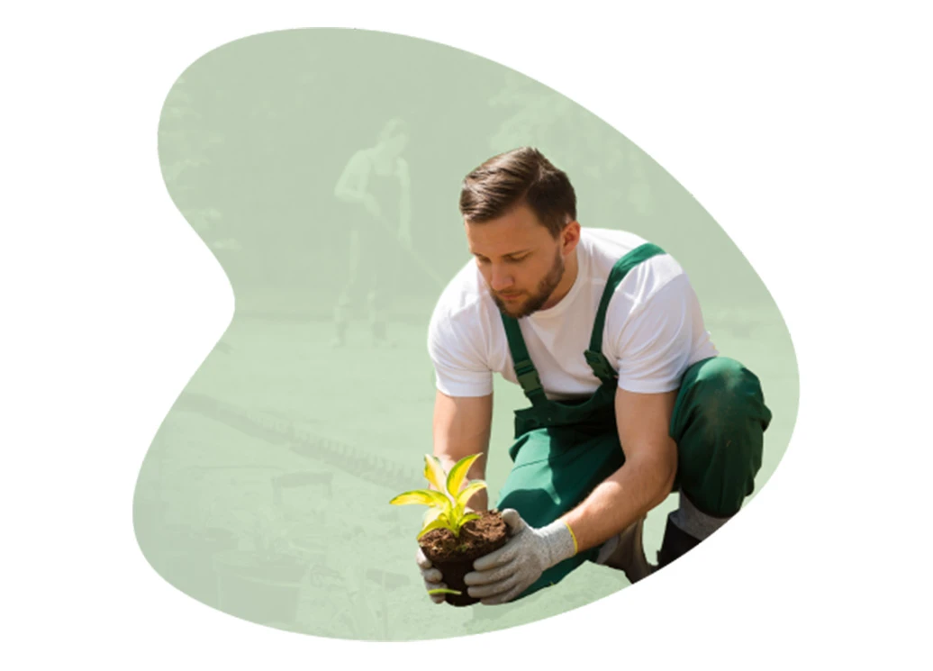 Young man planting a yellow flower