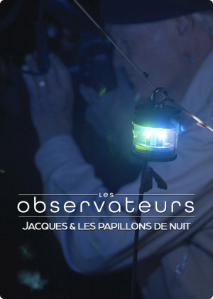 Une affiche promotionnelle Des observateurs : Jacques et les papillons de nuit, une émission TELUS TÉLÉ+.