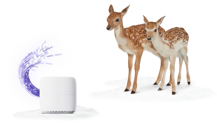 Two deer sitting next to a TELUS modem.