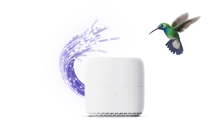 A hummingbird hovering next to a TELUS modem.