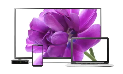A large TV, a smart phone, and a laptop, all sharing the same flower image on their screens, along with a digital TV box.