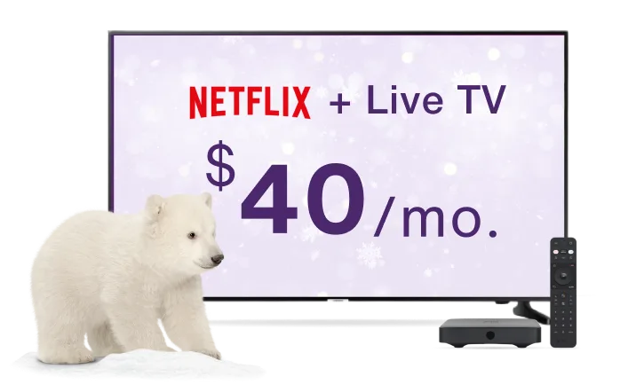 A polar bear sitting next to a TV and TELUS modem.