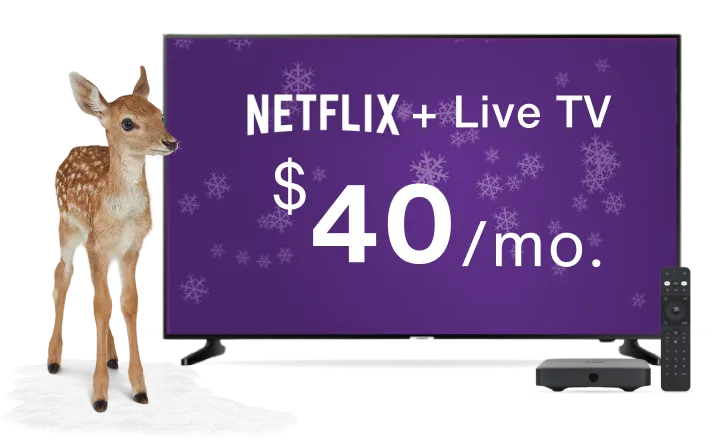 A deer standing next to a TV, digital box and remote control. The TV displays the text “Netflix + Live TV from $40/mo.”