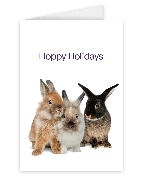 A card featuring three bunnies that says: Hoppy Holidays