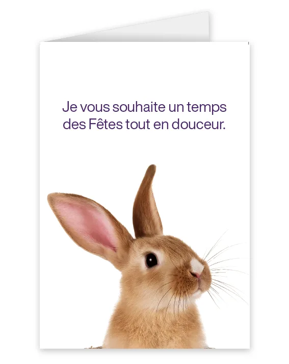 Une carte représentant un lapin portant l'inscription : Je vous souhaite un temps des Fêtes tout en douceur.