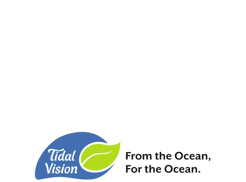 Tidal Vision logo