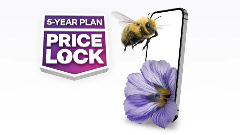 '5-YEAR PLAN PRICE LOCK' A bumblebee flies towards a smartphone with a flower sitting next to it.