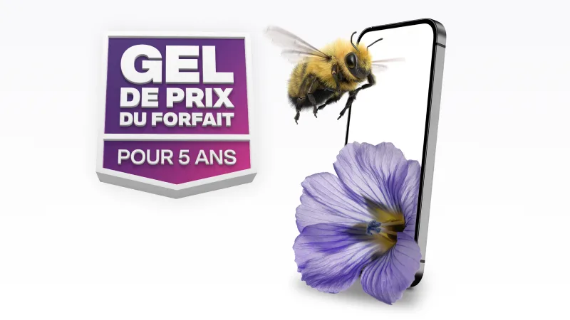 « GEL DE PRIX DU FORFAIT POUR 5 ANS ». Un bourdon vole vers un téléphone intelligent avec une fleur à côté.