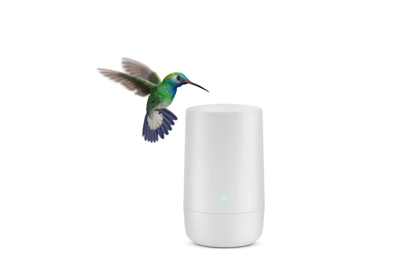 A hummingbird flying toward a TELUS modem.