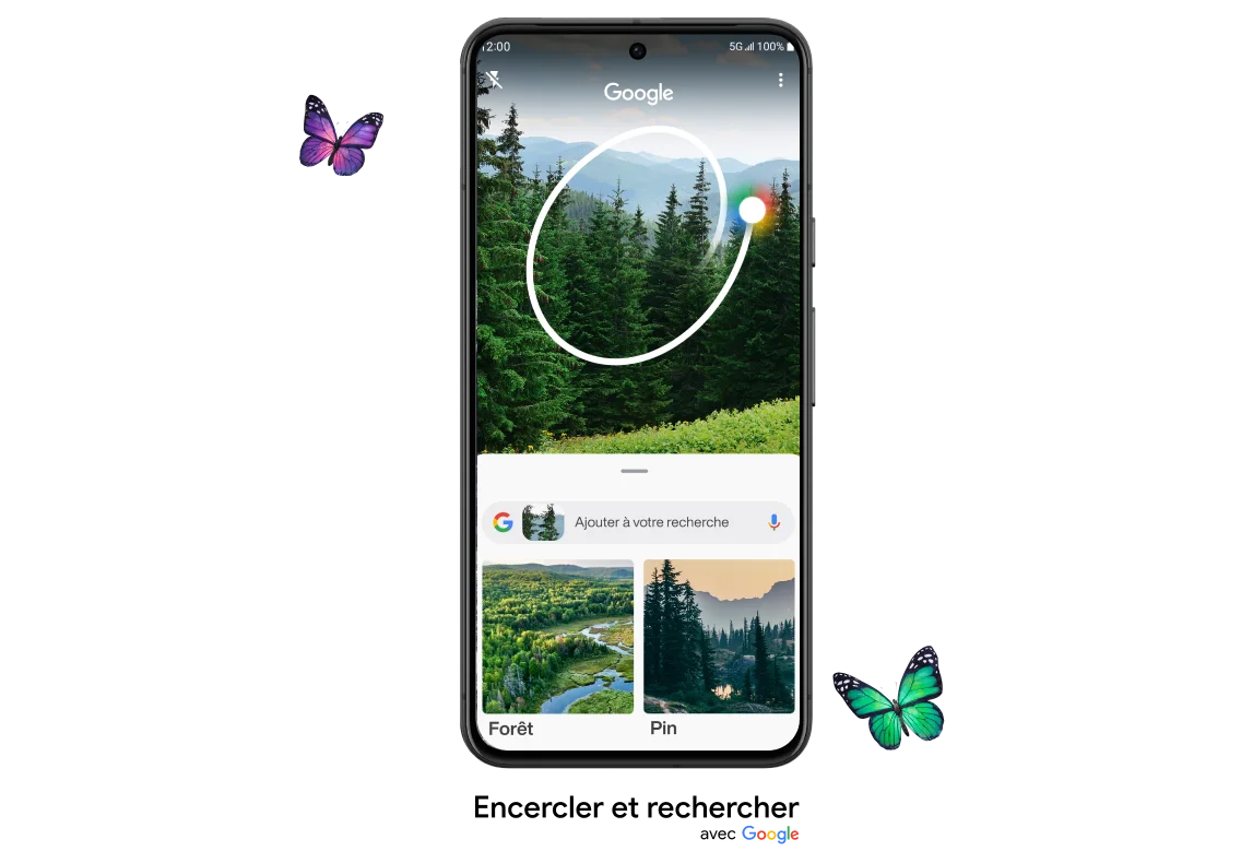 Vue avant du Google Pixel 8. L’écran montre la fonction « Encercler et rechercher » de Google, utilisée sur l’image d’une forêt.