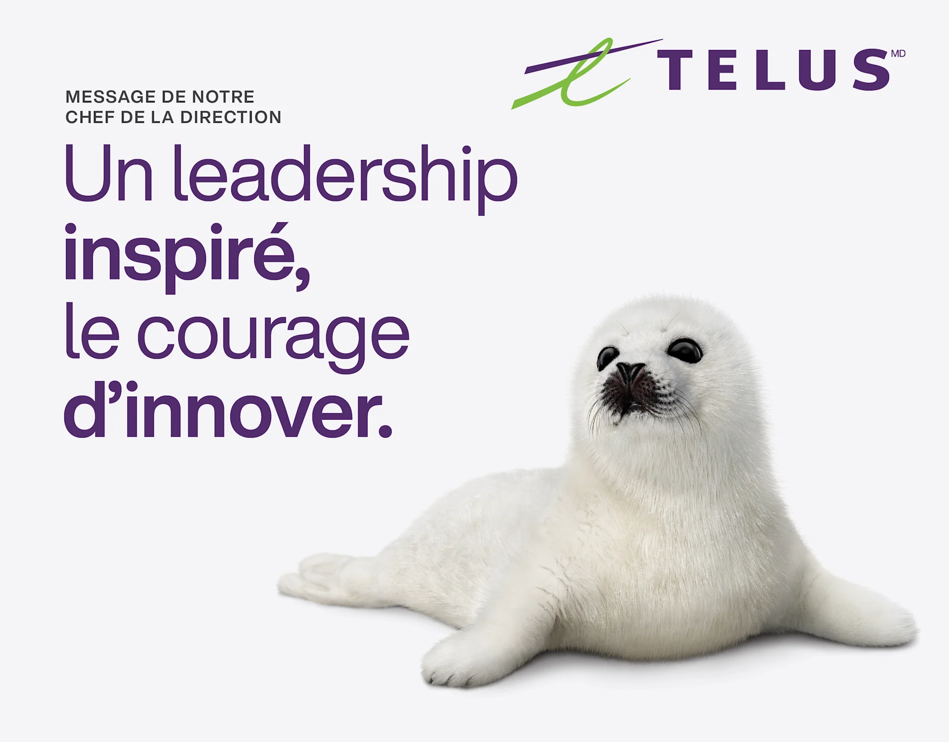 Lettre du chef de la direction aux investisseurs