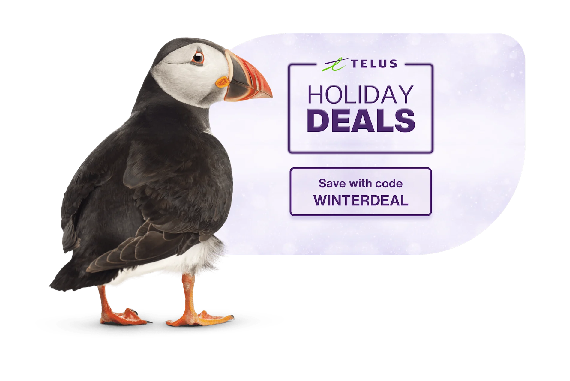 A puffin standing next to a sticker that reads: Holiday deals. Save with code WINTERDEAL.