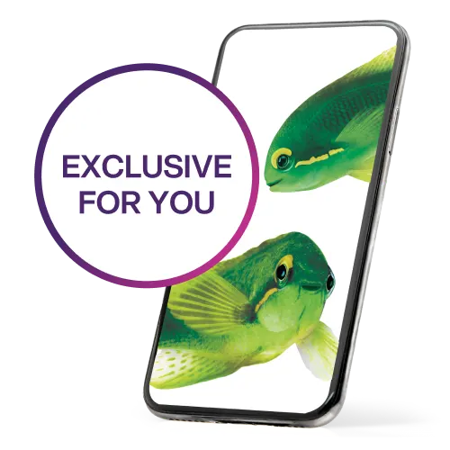 A smartphone displaying two vibrant green fish swimming. A roundel next to it reads “Exclusive for you”.