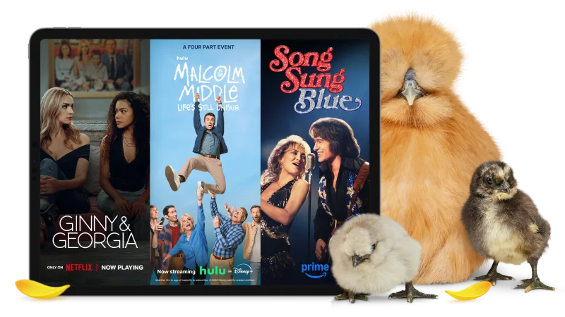 A chicken with her two babies standing next to a tablet displaying the posters of Ginny & Georgia, Malcolm in the Middle, and Song Sung Blue.