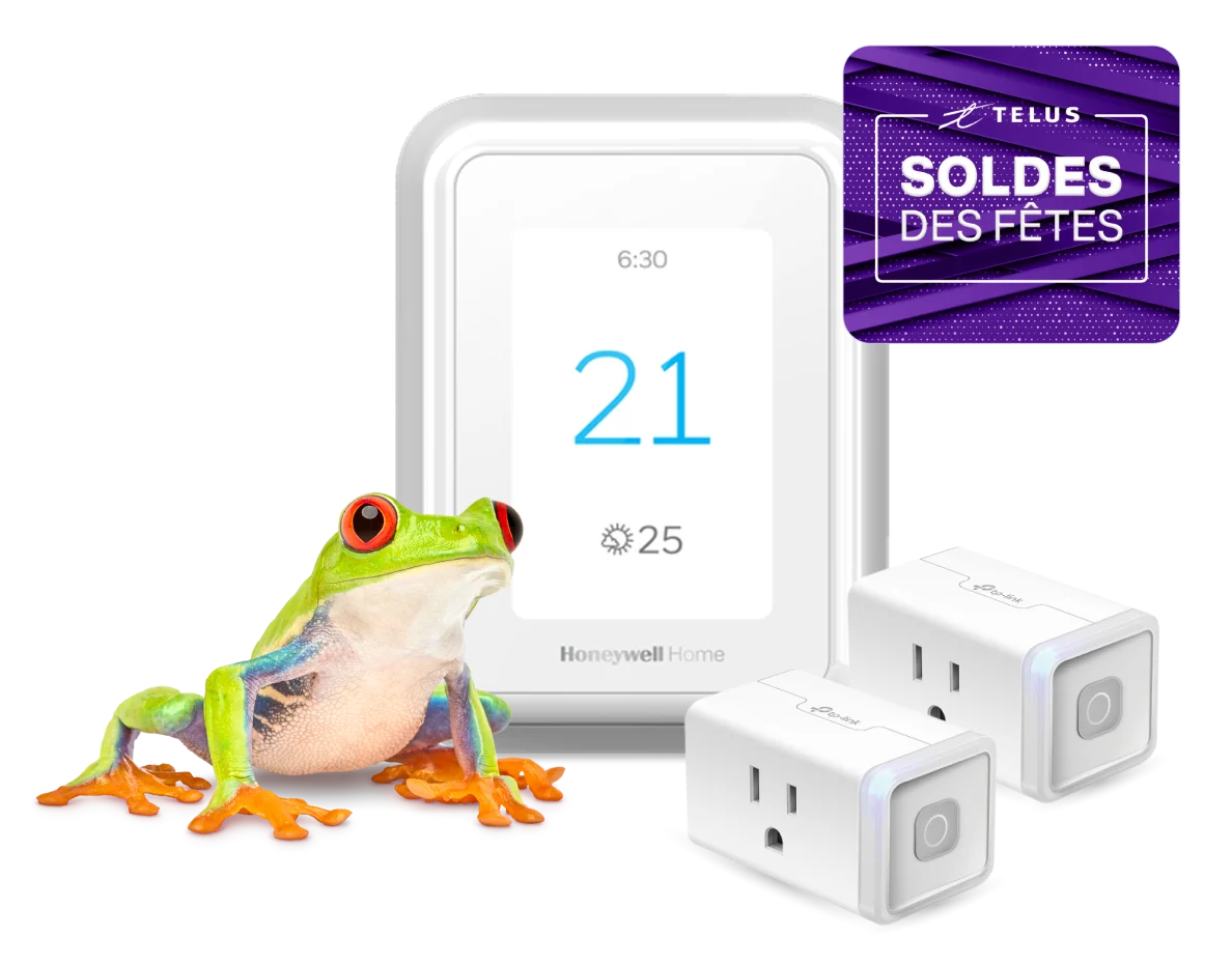 Une grenouille se tient à côté d’un thermostat intelligent et de deux prises de courant intelligentes qui portent l’inscription « Soldes des Fêtes ».