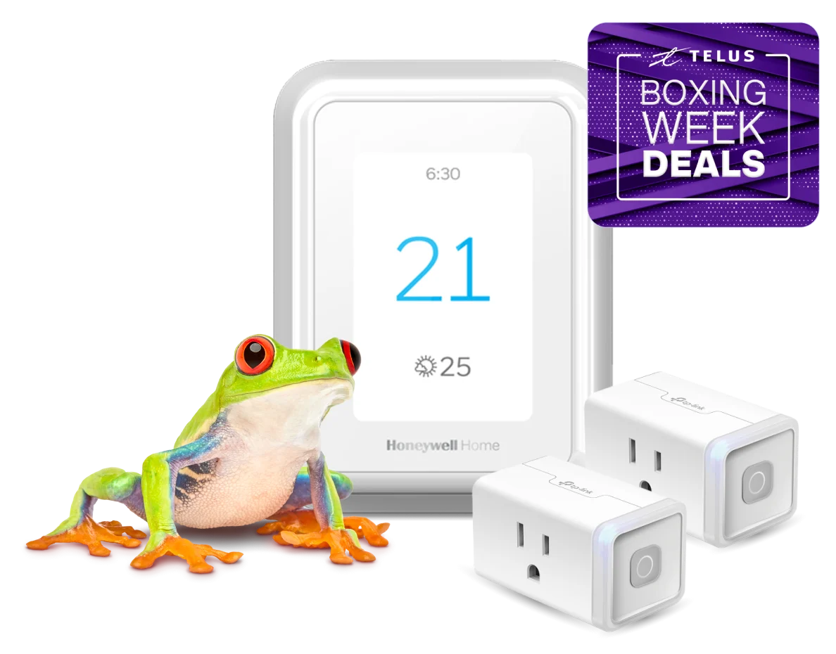 A frog is standing next to a smart thermostat and two smart plugs, displaying a roundel that says, "Boxing Week".