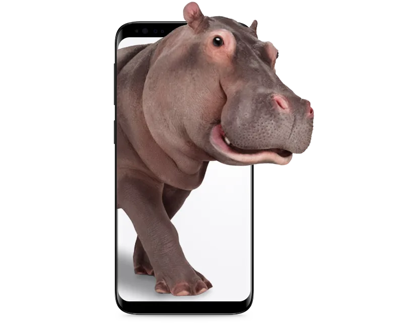 A hippo emerges from a smartphone screen.