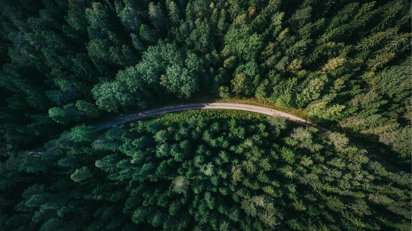Restoring Nature - B2B