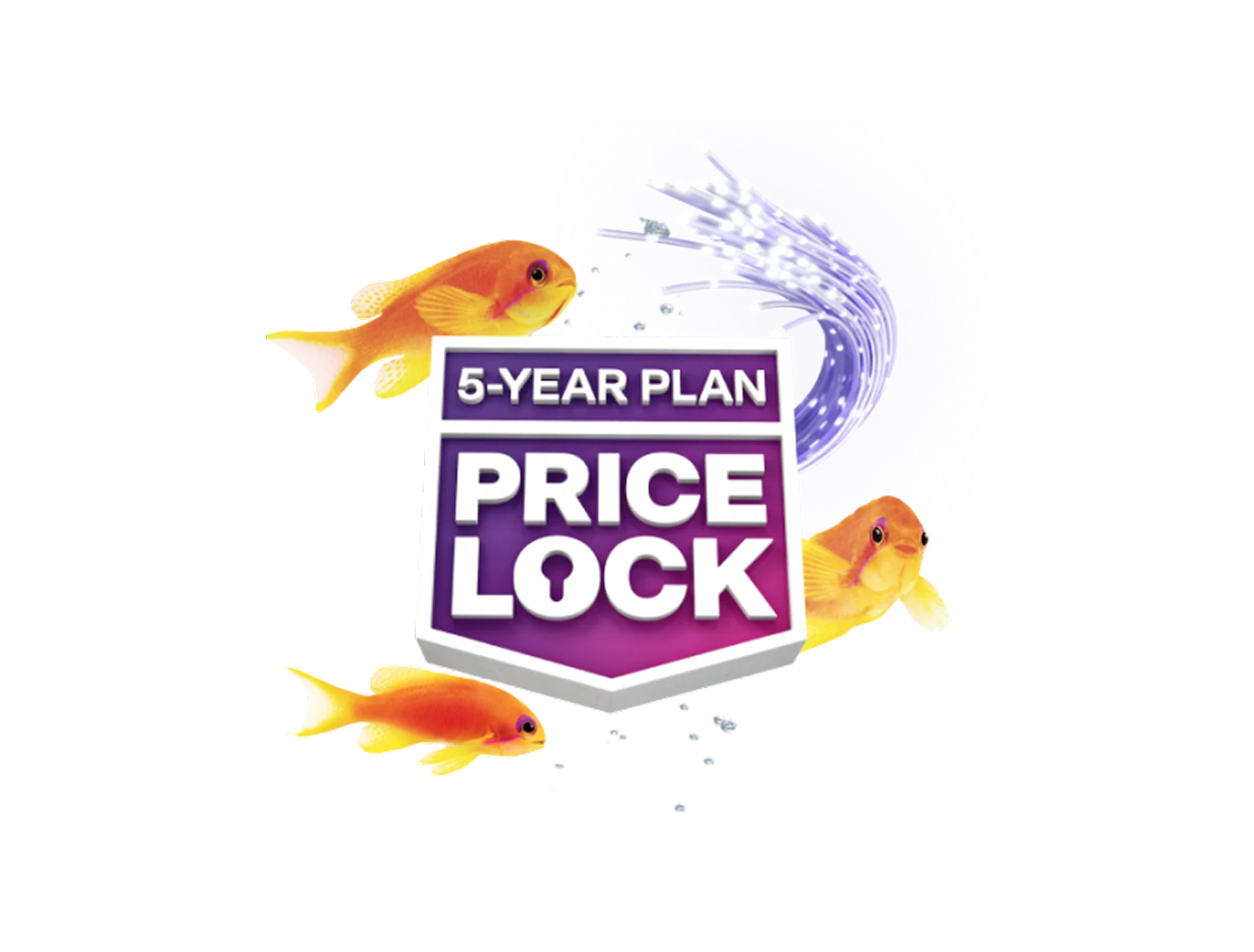 A "5-Year Plan Price Lock" badge surrounded by an orange fish.
