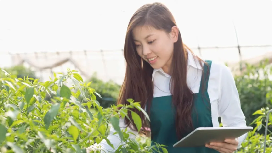 Une jeune femme regarde des plantes dans une serre.