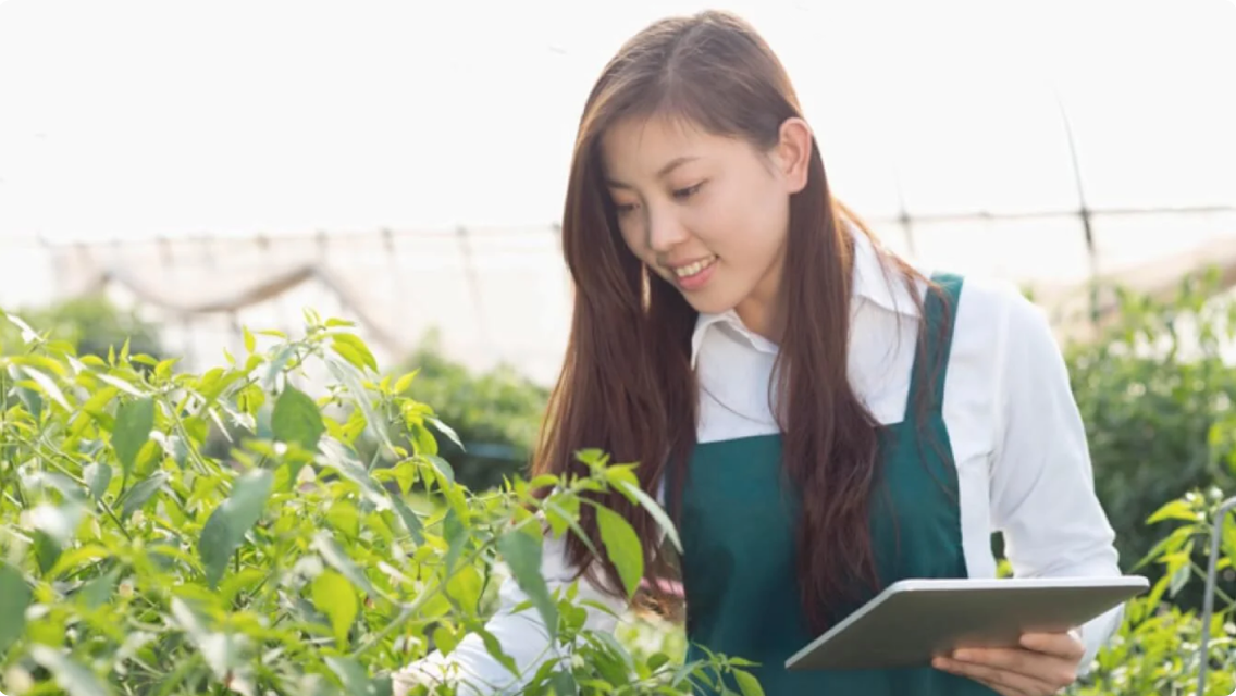 A young woman inspecting plants in a greenhouse.