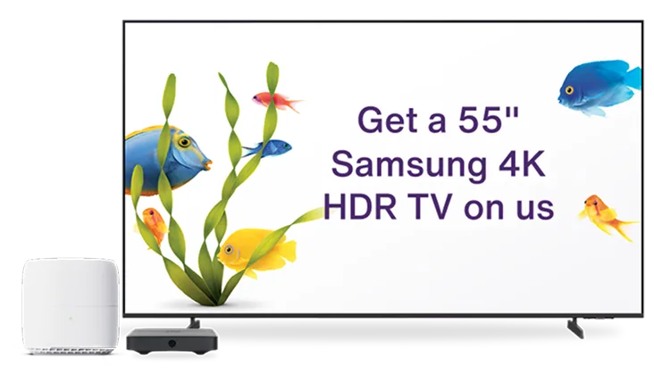 Samsung TV next to Wi-Fi hardware, displaying colorful fish, sea plants, and text: "Get a 55" Samsung 4K HDR TV on us.