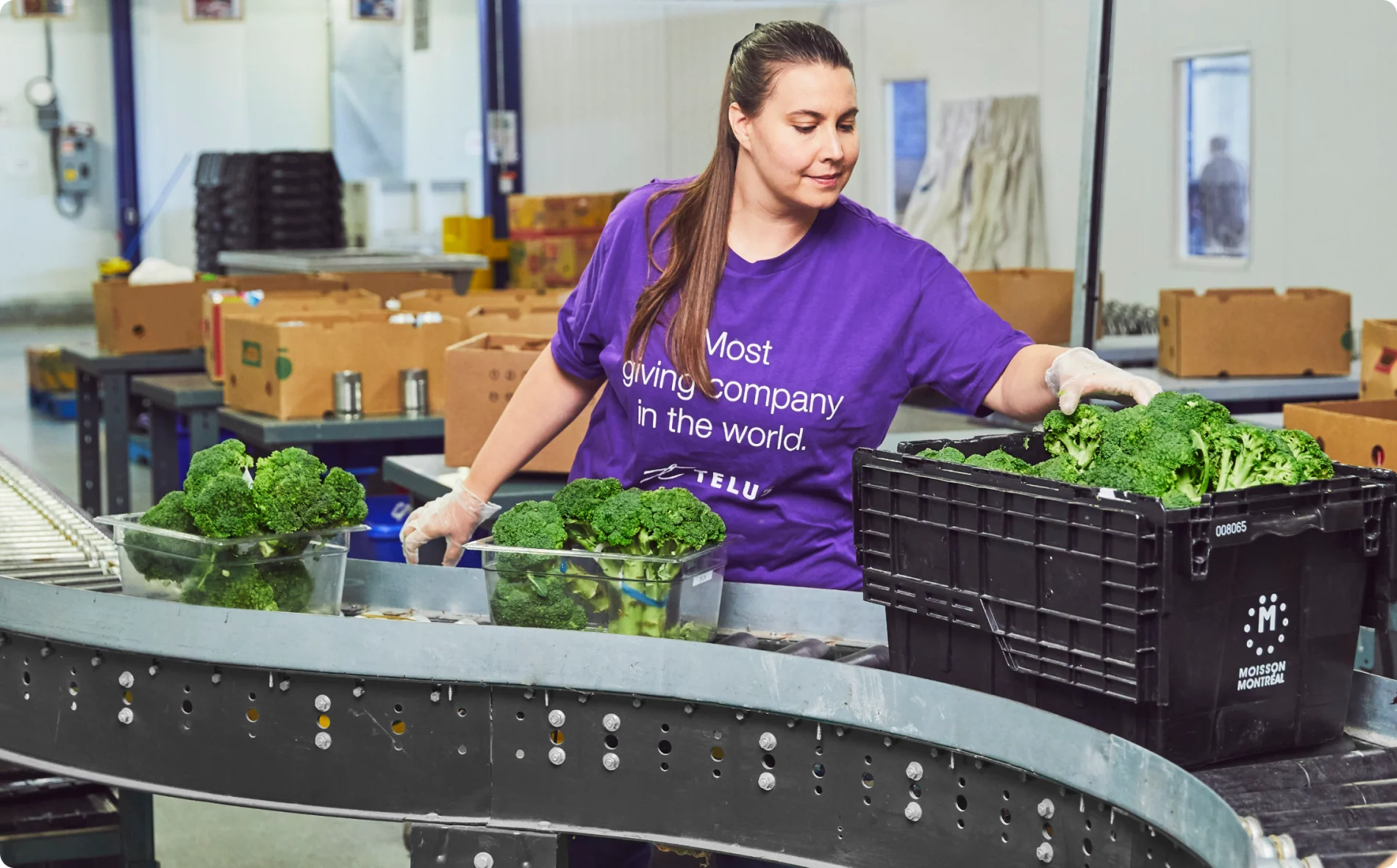 A TELUS member packing a bunch of broccoli's