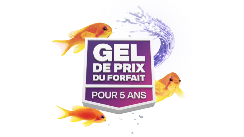 Un « Gel de prix du forfait pour 5 ans » entouré d’un poisson orange.