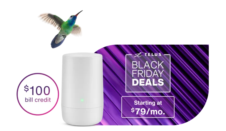 A hummingbird flying toward a Wi-Fi hub. In the background is a purple Black Friday deals sticker with the text: $100 bill credit