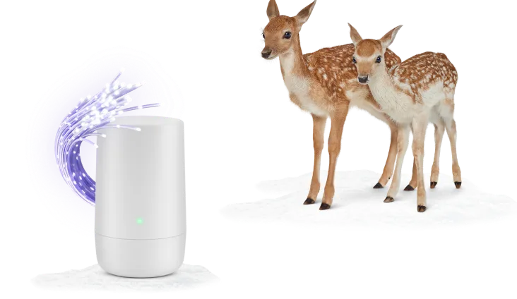 Two deer standing next to a TELUS modem.