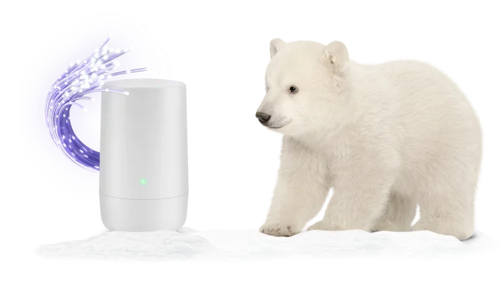Une télévision et un modem TELUS. L'écran du téléviseur affiche un ours polaire et un nœud papillon violet.
