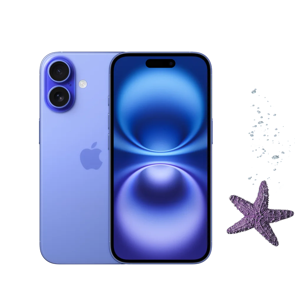 Blue iPhone 16 shown from front and back views with blue screen display, accompanied by purple starfish decoration on light background.