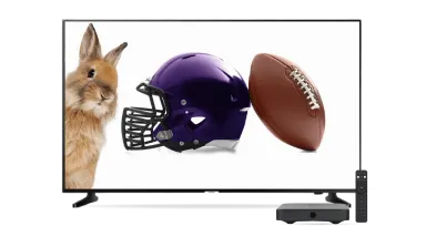 A TV, Digital TV box and remote control. The TV screen displays a bunny next to a purple football helmet and football.