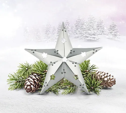 A decorative star placed infront of winter foliage.