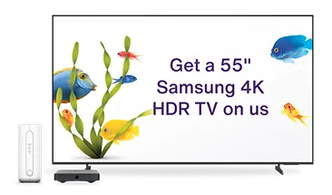 Samsung TV next to Wi-Fi hardware, displaying colorful fish, sea plants, and text: "Get a 55" Samsung 4K HDR TV on us.
