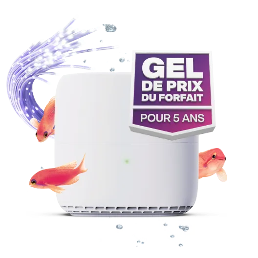 Un routeur Wi-Fi blanc à côté d'un poisson avec un badge indiquant « Gel de prix du forfait pour 5 ans ».