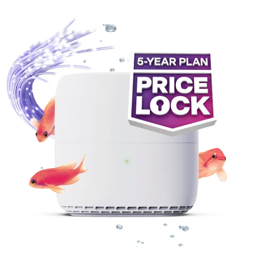 White Wi-Fi router surrounded by red fish and a fibre cable, featuring a badge that reads "5-Year Plan Price Lock".