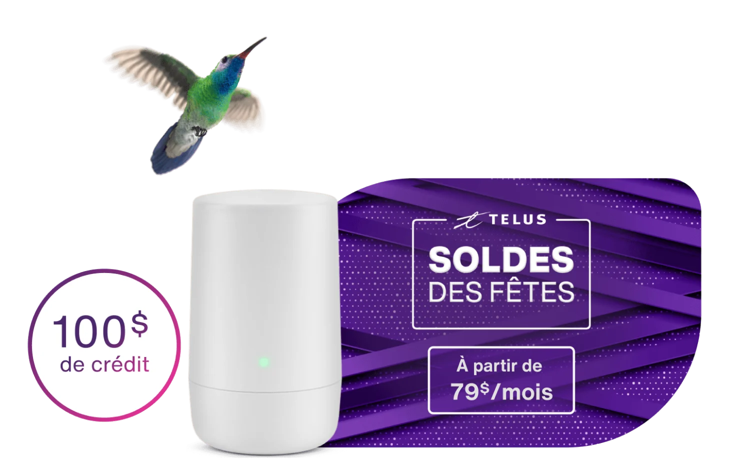 Un colibri volant en direction d'un modem TELUS. À gauche, un rond indique : Crédit de 100 $. À droite, un timbre indique : Soldes des fêtes. À partir de 79 $/mois.