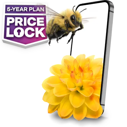 '5-YEAR PLAN PRICE LOCK' A bumblebee flies towards a smartphone with a flower sitting next to it.