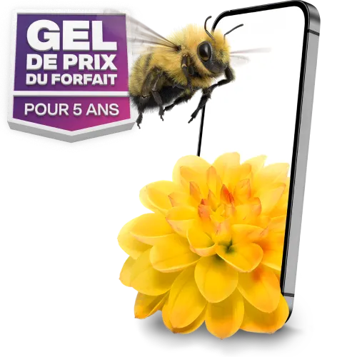 « GEL DE PRIX DU FORFAIT POUR 5 ANS ». Un bourdon vole vers un téléphone intelligent avec une fleur à côté.